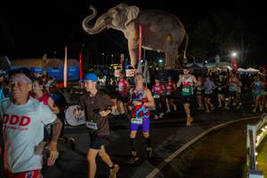 BIB: 
                            <button type="button" onclick="openModal(26552321)" class="btn btn-primary btn-sm float-right btn-popup" data-toggle="modal" data-target=".modal-high-quality">
                        <i class="fas fa-shopping-cart"></i> Add to Cart
                    </button>
                                            <button type="button" onclick="isThisMe(26552321, true)" class="btn btn-success btn-sm float-right btn-popup btn-isme hidden" data-toggle="tooltip" data-placement="bottom" title="นี่คือรูปของคุณใช่ไหม คลิกที่นี่เพื่อเอาเข้าอัลบั้ม">
                        <i class="fas fa-plus"></i> Add to album
                    </button>
                    <button type="button" onclick="isThisMe(26552321, false)" class="btn btn-warning btn-sm float-right btn-popup btn-isnotme hidden">
                        <i class="fas fa-ban"></i> Remove from album
                    </button>